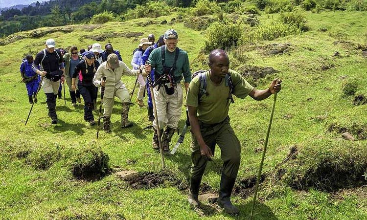 5-Days-Mount-Nyiragongo-Karisimbi-Hikes-750x450