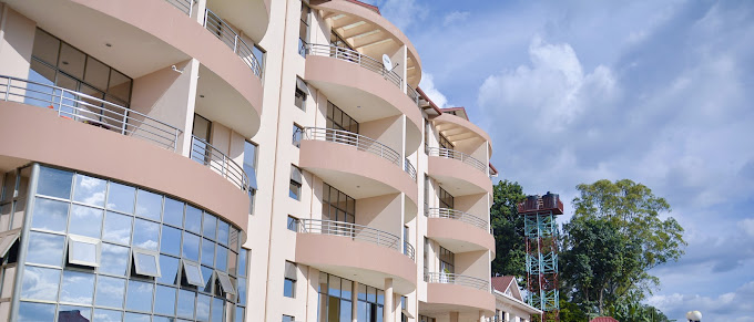 Hotel Begonias 4